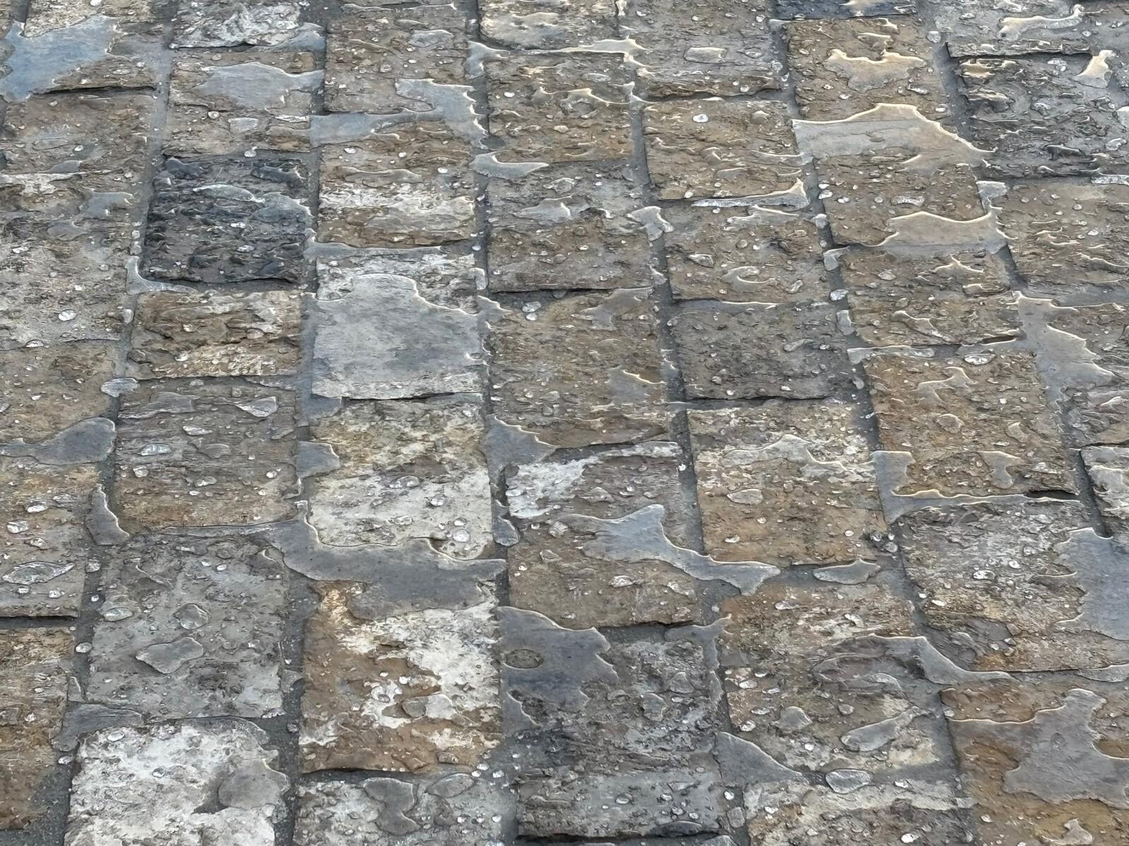 AJOA_Montpellier Foch (6)