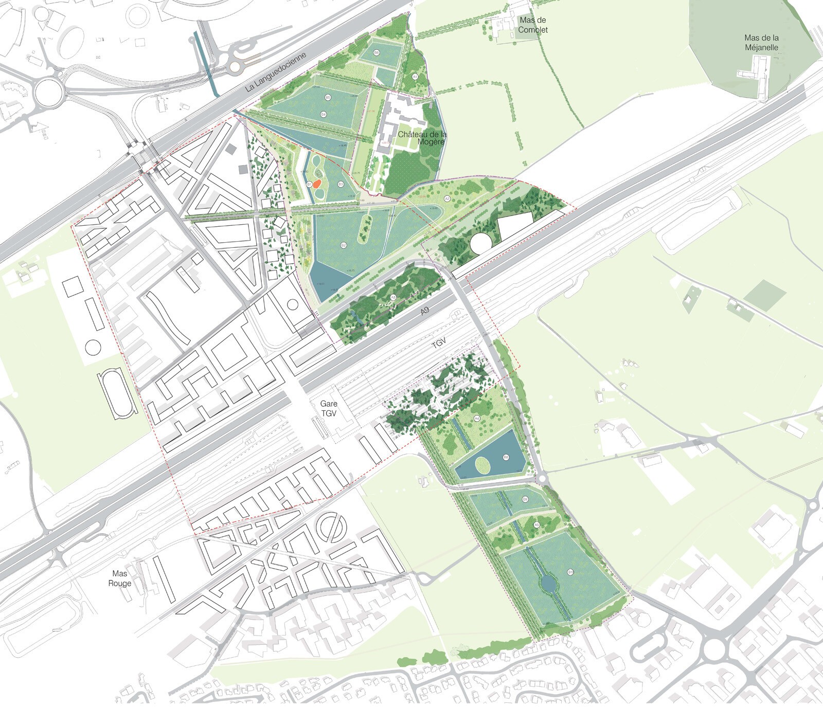 AJOA_WEB_MONTPELLIER_GUILHEM VIII_8