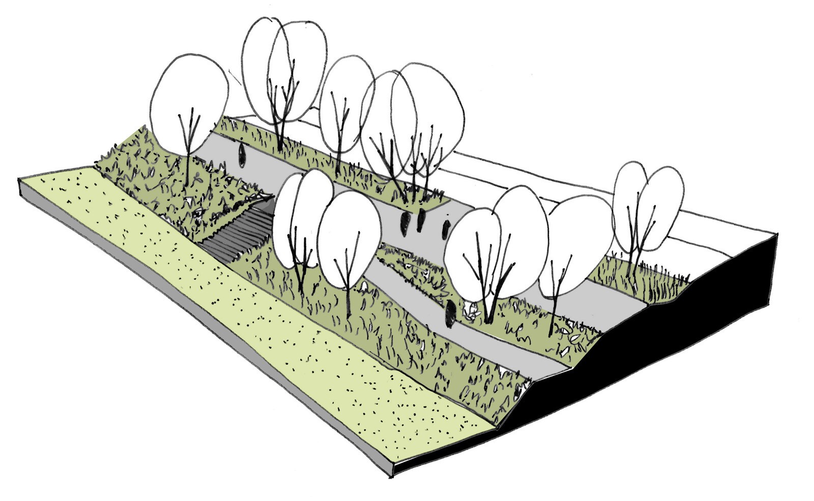AJOA_WEB_RENNES_PARC DE LA VILAINE_6