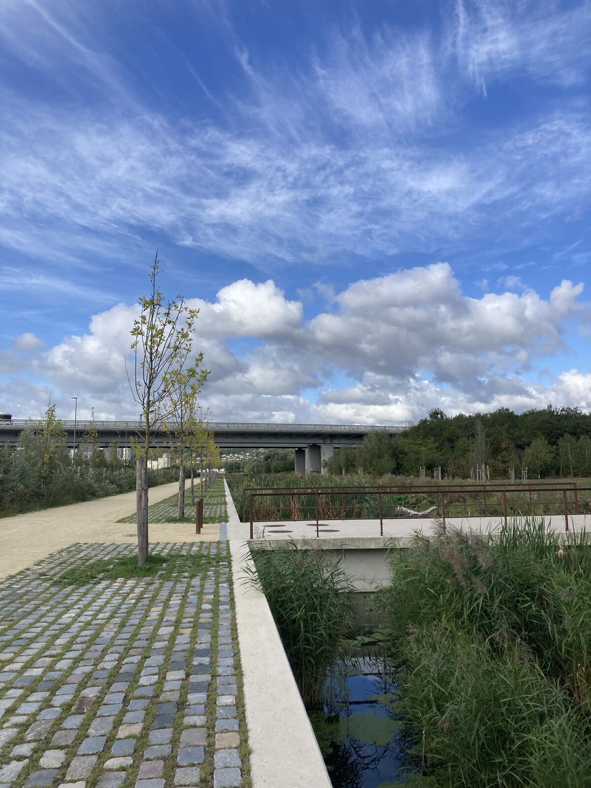 AJOA_WEB_ROUEN_FLAUBERT PROJET URBAIN_7